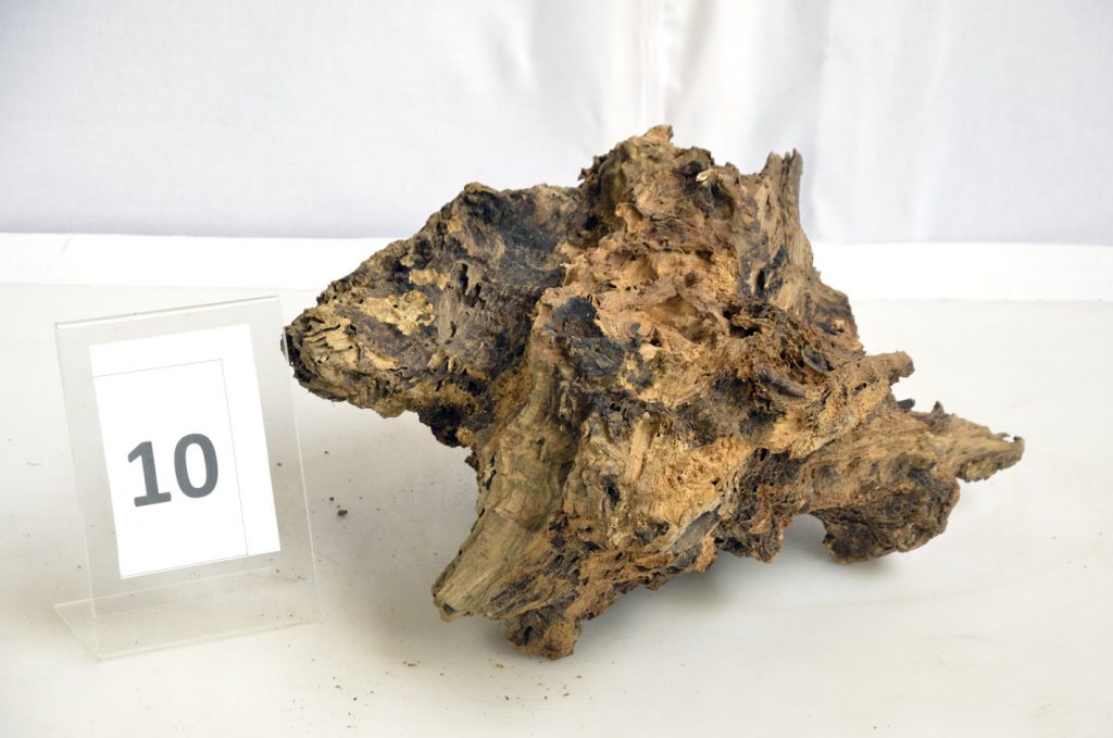 OlivenbaumWurzel, Olivenholzwurzeln Holz Authentisch OlivenbaumWurzel, Olivenholzwurzeln Holz Authentisch