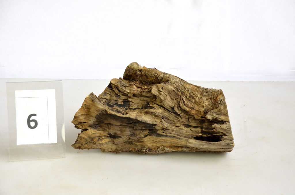 OlivenbaumWurzel, Olivenholzwurzeln Holz Authentisch OlivenbaumWurzel, Olivenholzwurzeln Holz Authentisch