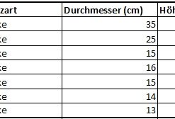 Bestand Maserbirke_08.03.26
