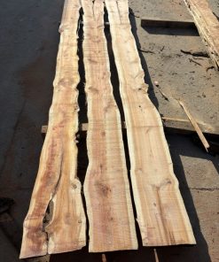 Schnittholz Eibe 36-52-62-82 mm (1)