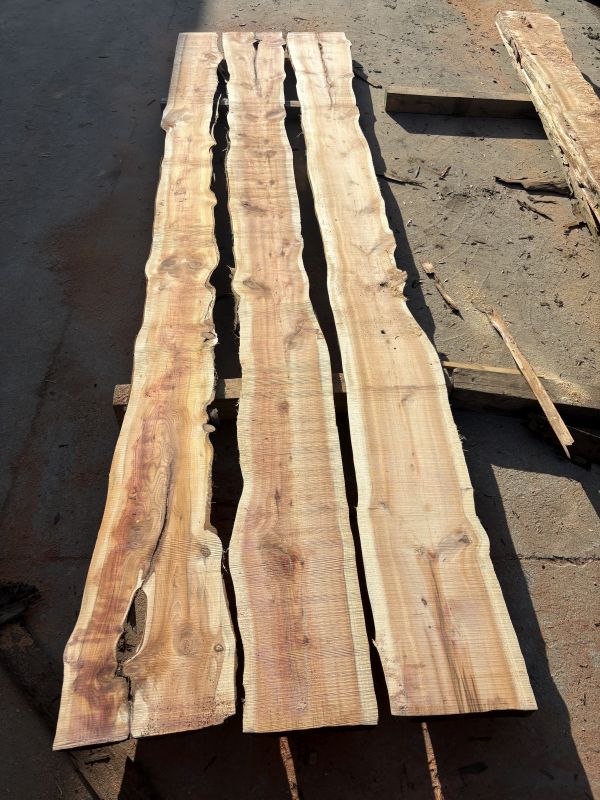 Schnittholz Eibe 36-52-62-82 mm (1)