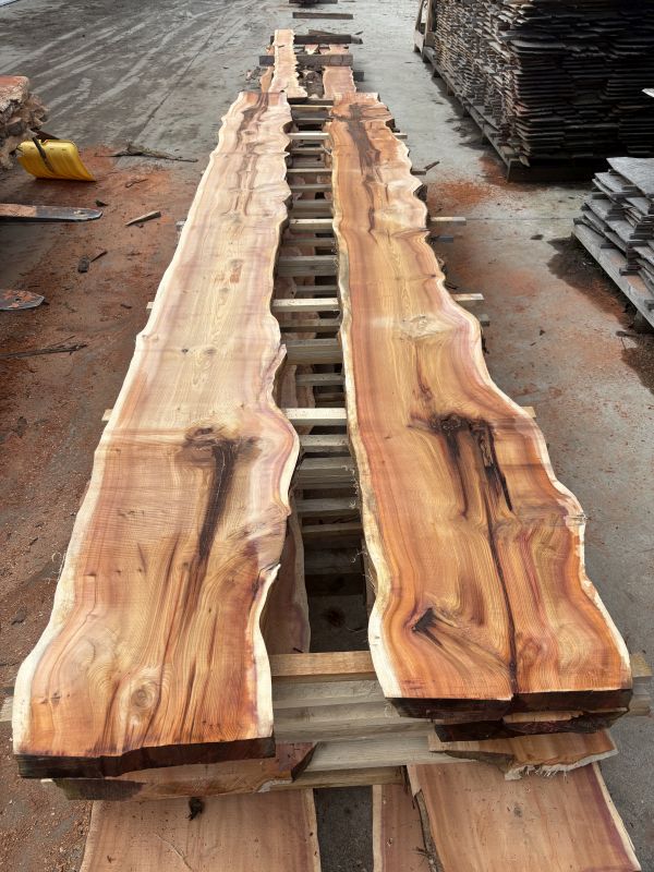 Schnittholz Eibe 36-52-62-82 mm (5)