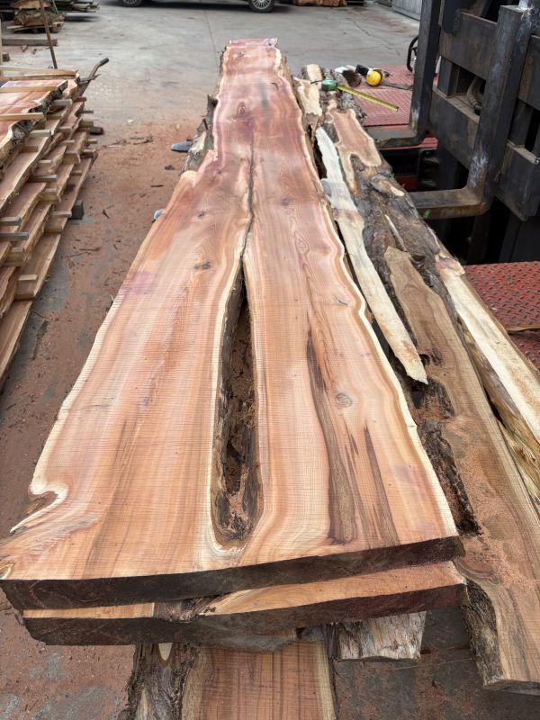 Schnittholz Eibe 36-52-62-82 mm (5)