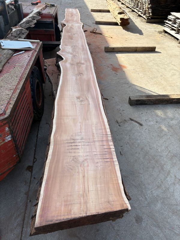 Schnittholz Eibe 36-52-62-82 mm (5)