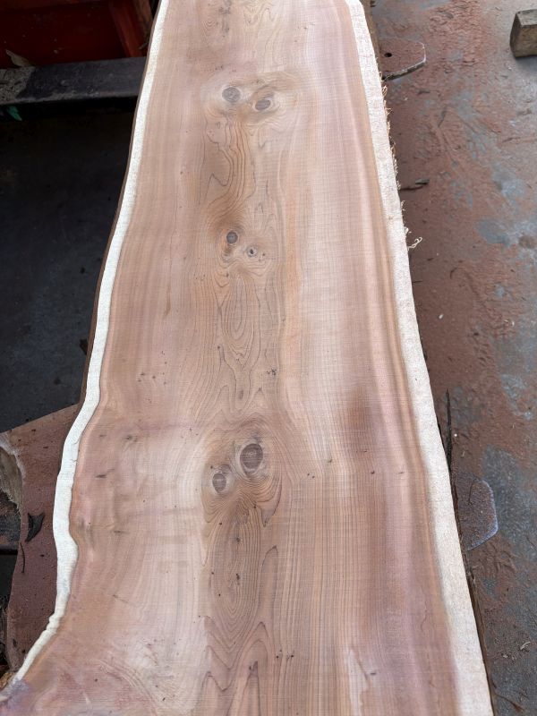 Schnittholz Eibe 36-52-62-82 mm (5)