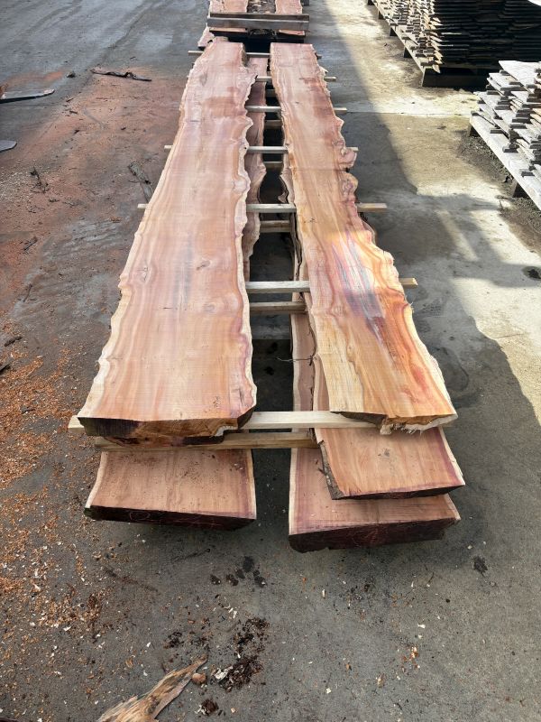 Schnittholz Eibe 36-52-62-82 mm (5)