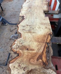 Maserpappel Schnittholz Nr. 1 (1)