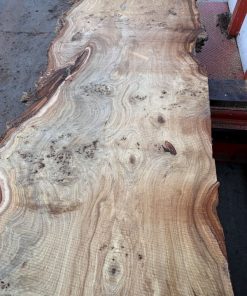 Maserpappel Schnittholz Nr. 7