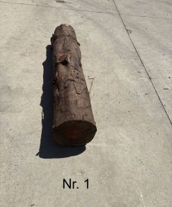 Eibe Rundholz Nr. 1