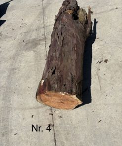 Eibe Rundholz Nr. 4