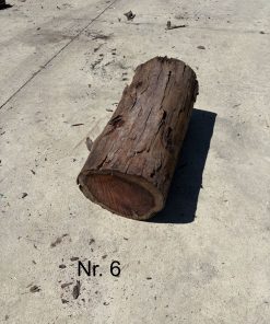 Eibe Rundholz Nr. 6